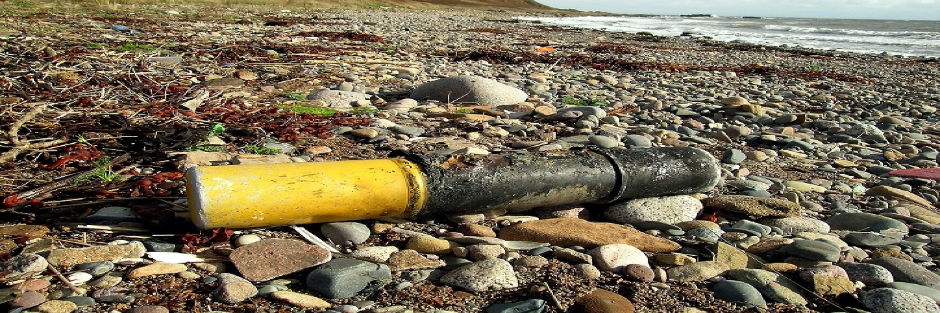 Beach ordnance (1)