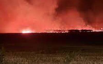 Wildfires: How can you stay safe and protect the countryside?
